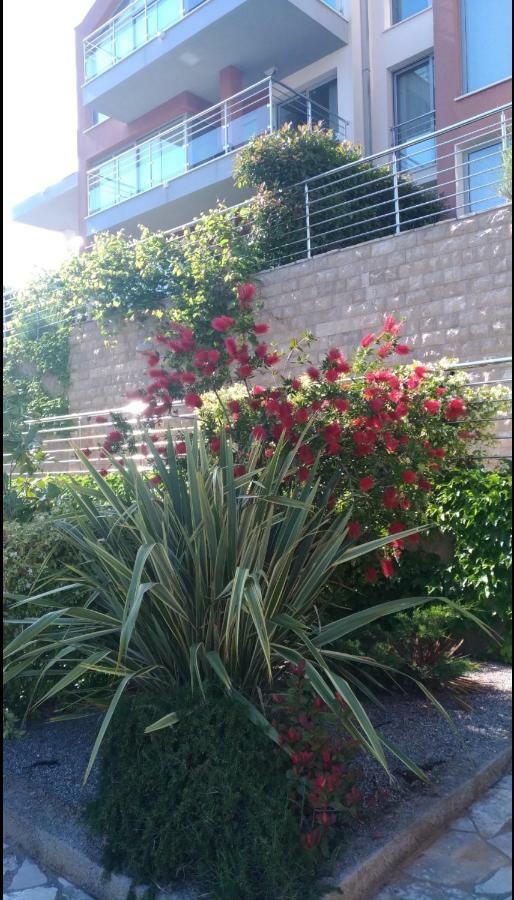 Apartments Acacia Hill Thenovici Exterior photo